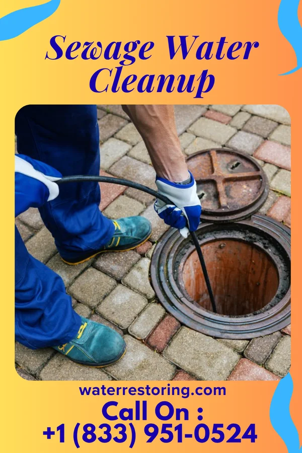 Sewage Water Cleanup in Diaz, AR